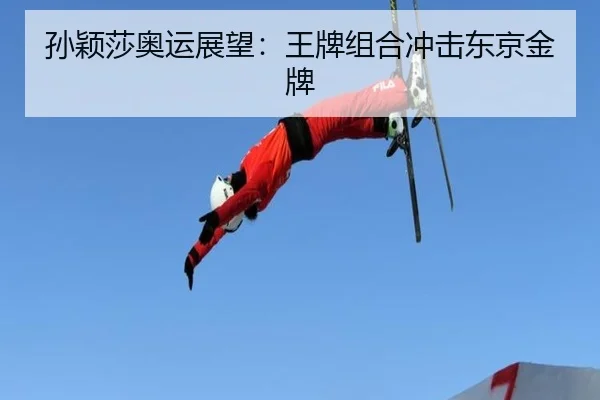 sun-ying-sha-ao-yun-zhan-wang-wang-pai-zu-he-chong-ji-dong-jing-jin-pai-2-112.jpg